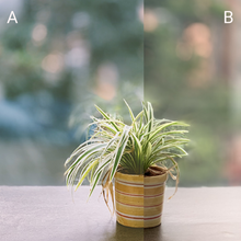 Load image into Gallery viewer, Image Resize / Editing